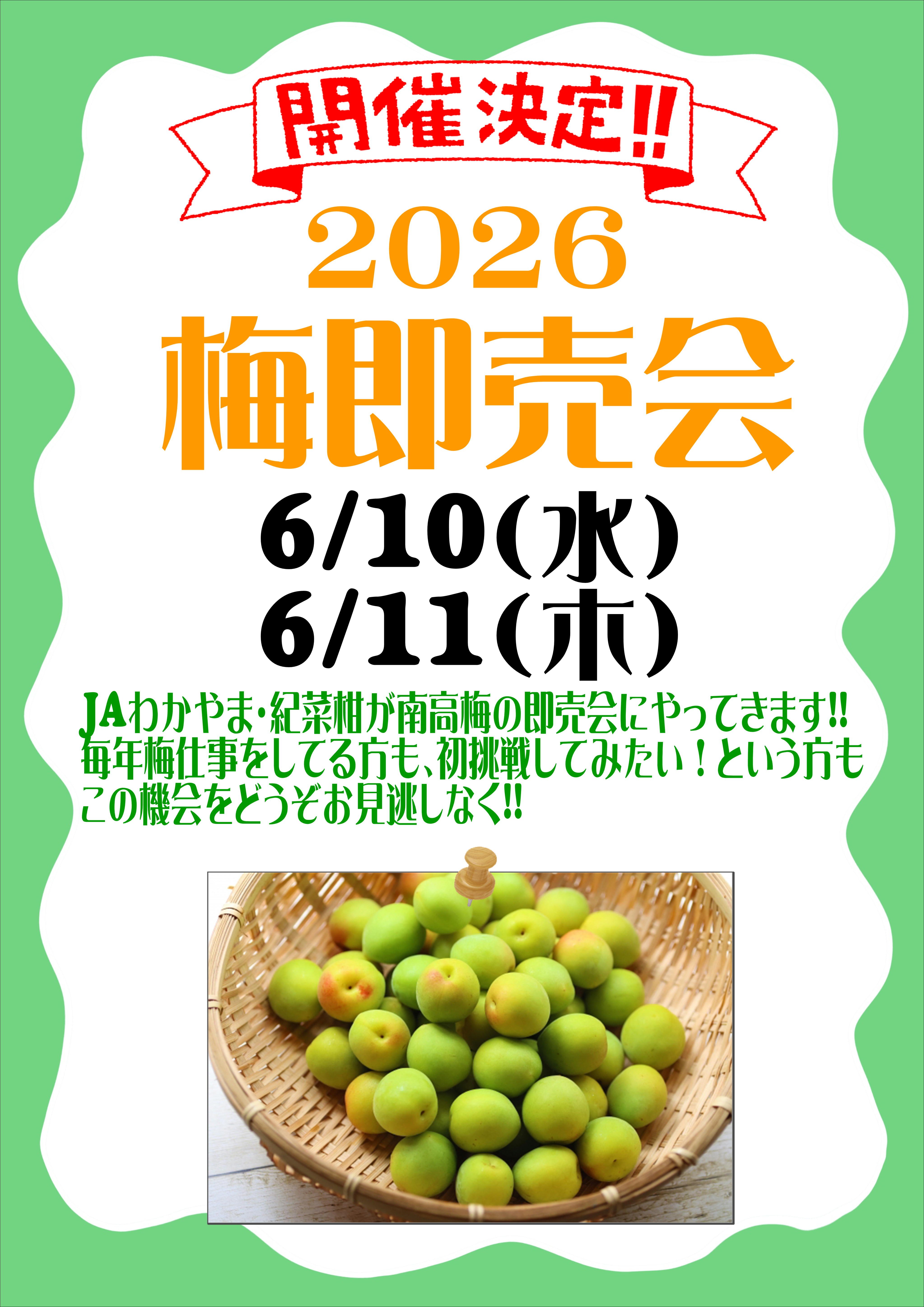ブログ一覧｜とさのさと【公式】