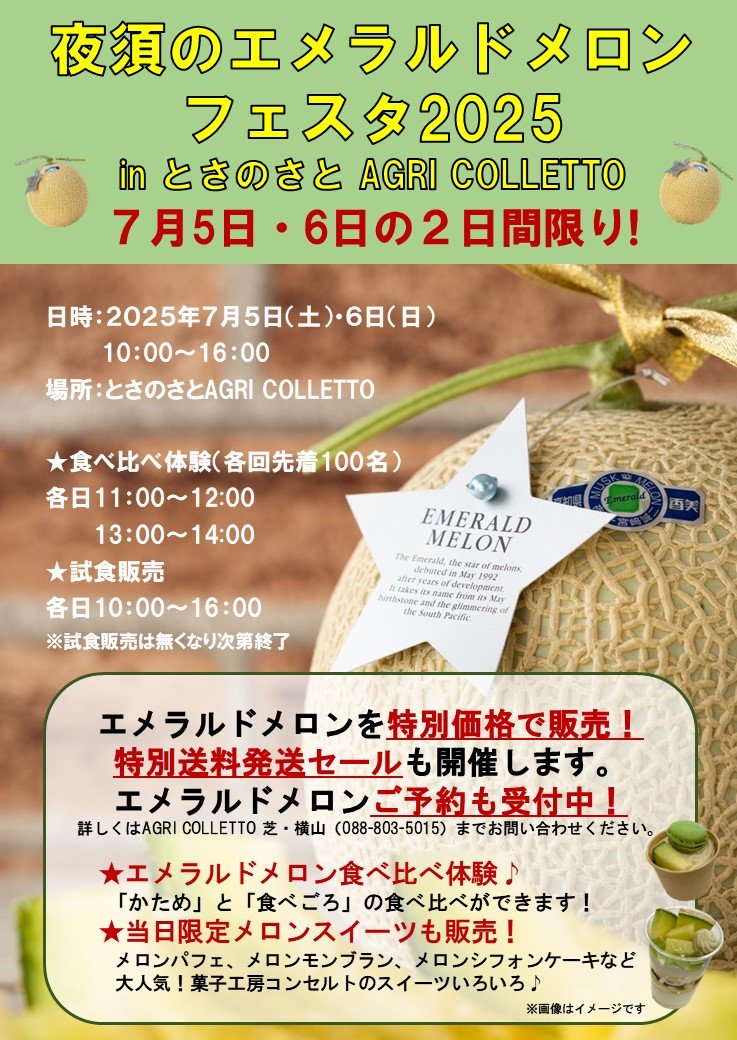 夜須のエメラルドメロンフェスタチラシ縦.jpg