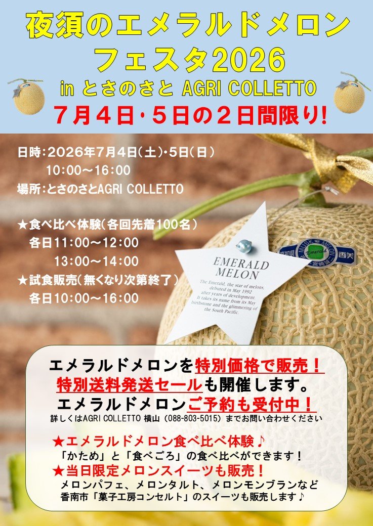 夜須のエメラルドメロンフェスタチラシ.jpg