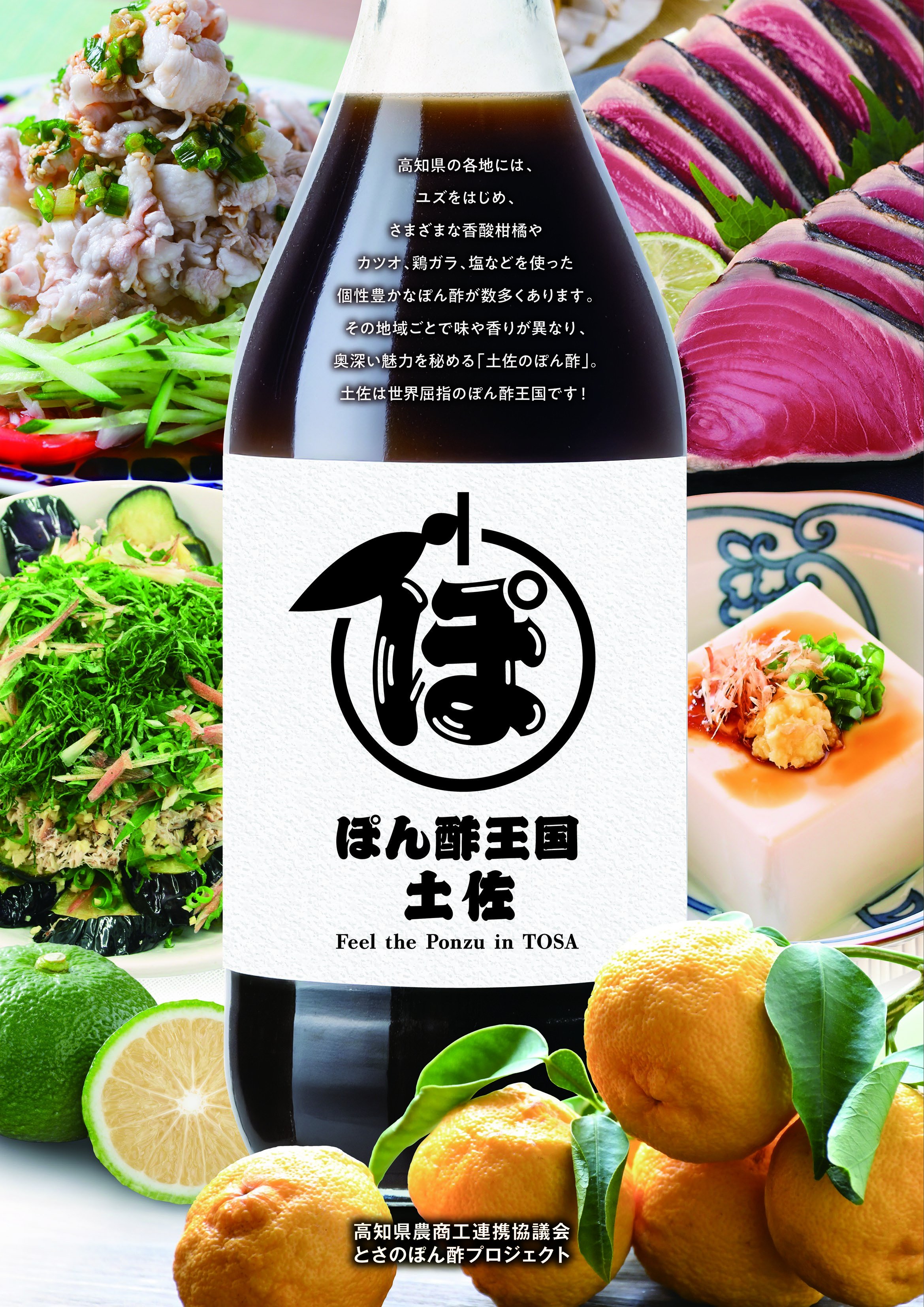 ブログ｜とさのさと【公式】